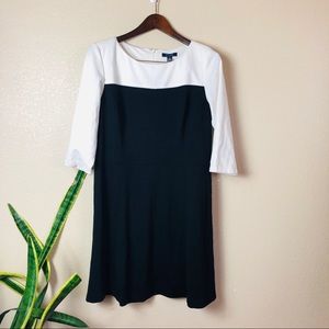 🛍 Chaps Knee High Black White hDress